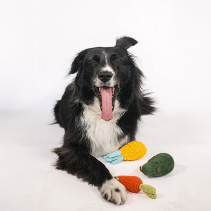 Organic Veggie Toys Bundle - Tampa Home & Garden Store