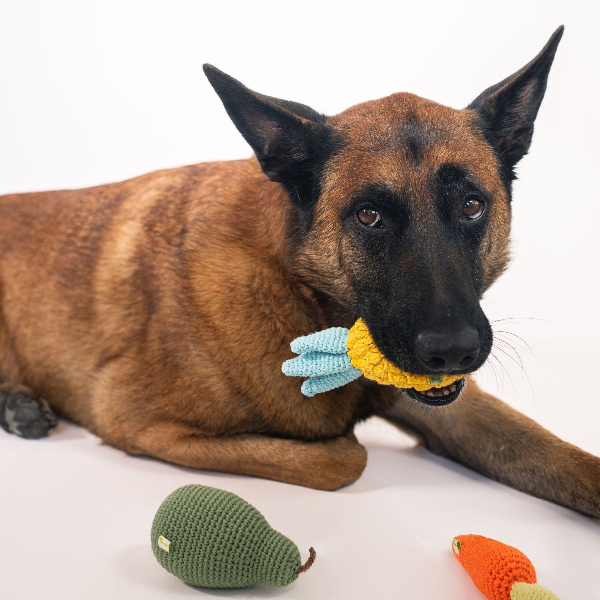 Organic Veggie Toys Bundle - Tampa Home & Garden Store