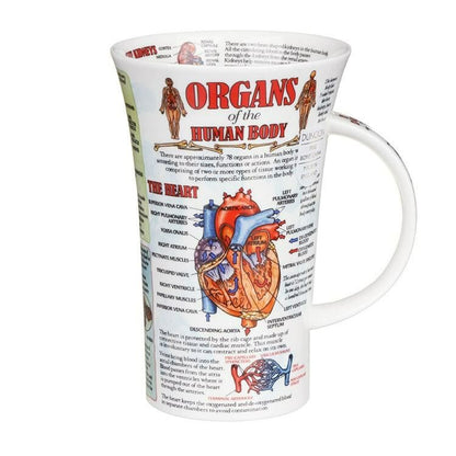 Organs Of Human Body Fine Bone China Mug Glencoe Style - Tampa Home & Garden Store