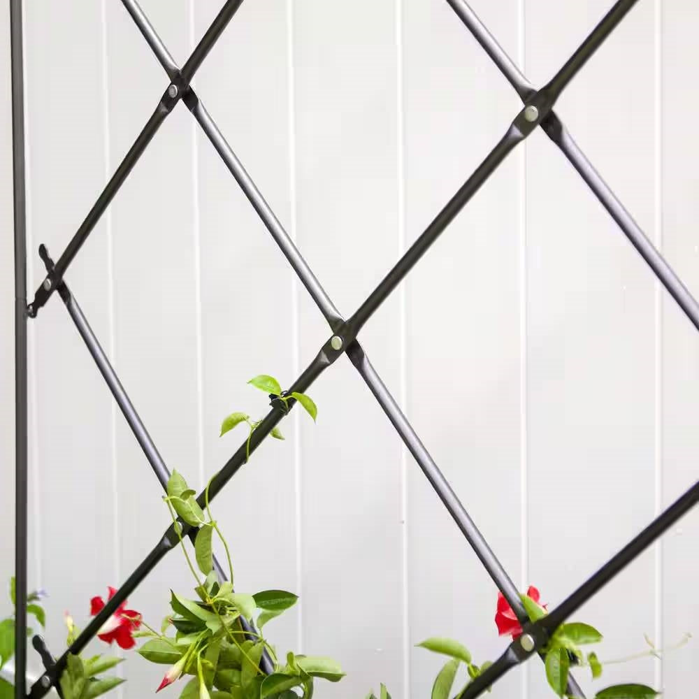 Outdoor 7-FT. Tall Wrought Iron Lattice Garden Trellis - Tampa Home & Garden Store
