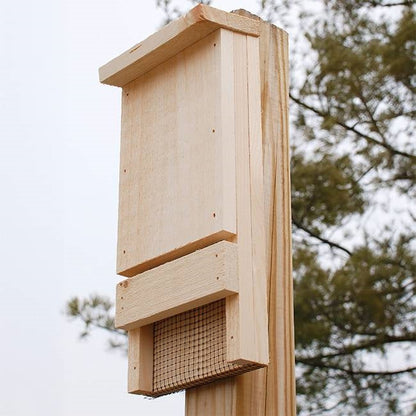Outdoor Wood Bat House Kit - Holds up to 12 Bats - Made in USA - Tampa Home & Garden Store
