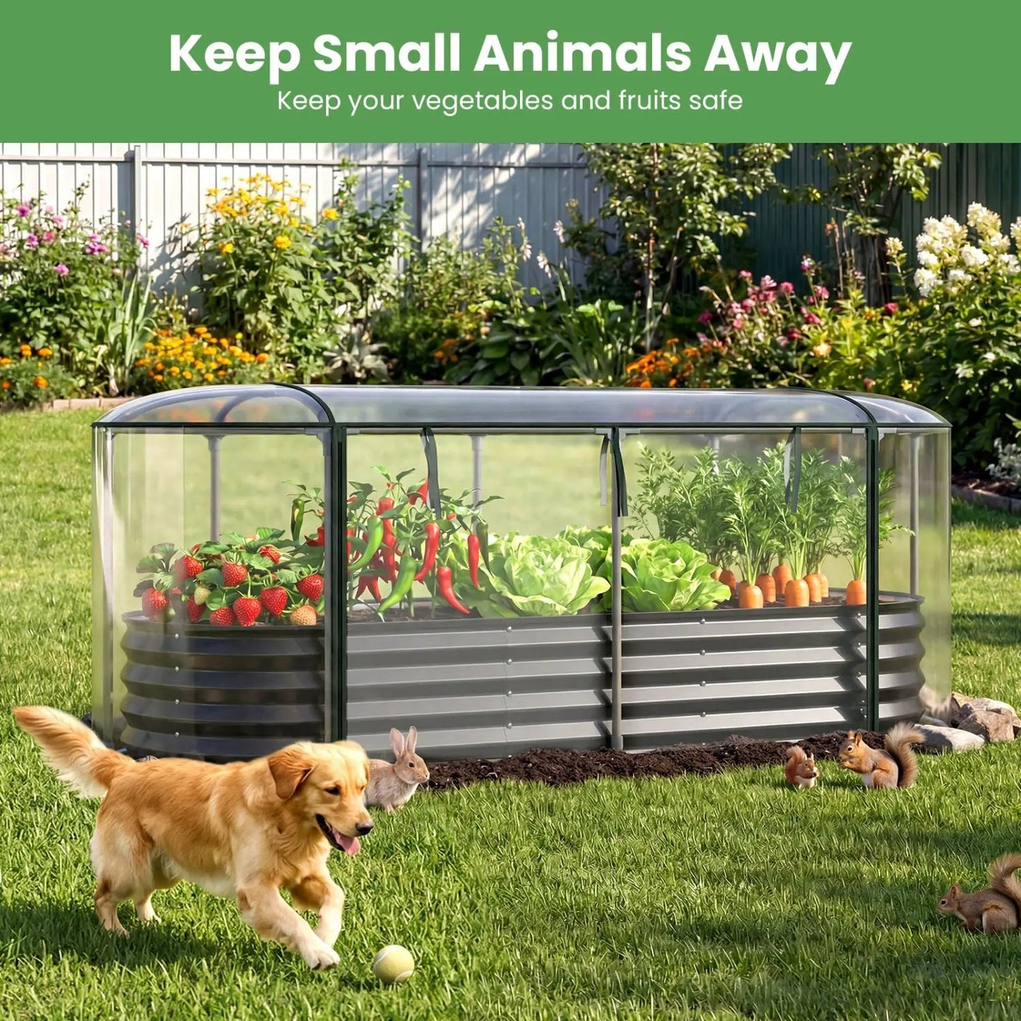Outdoor Color Steel Raised Garden Bed With Cover