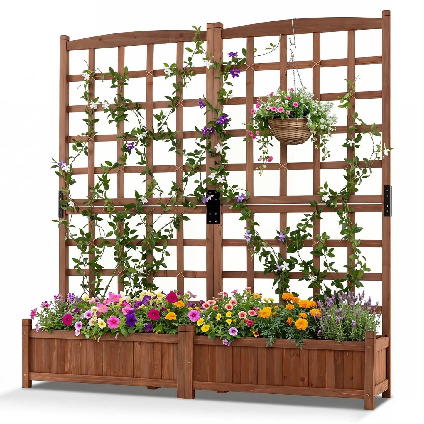 Dual Garden Bed With Trellis and Drainage Holes