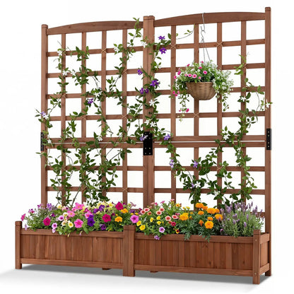 Dual Garden Bed With Trellis and Drainage Holes
