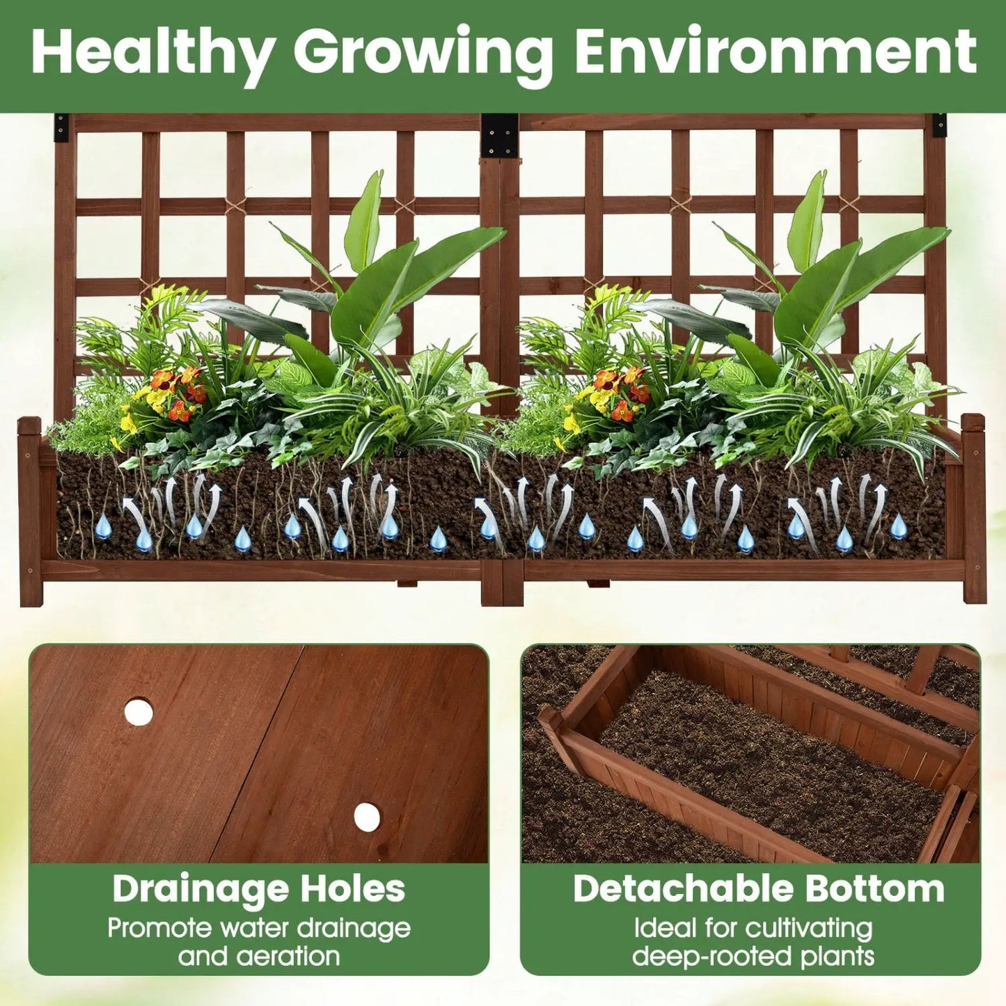 Dual Garden Bed With Trellis and Drainage Holes