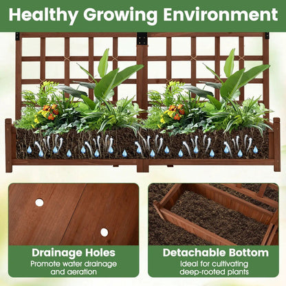 Dual Garden Bed With Trellis and Drainage Holes