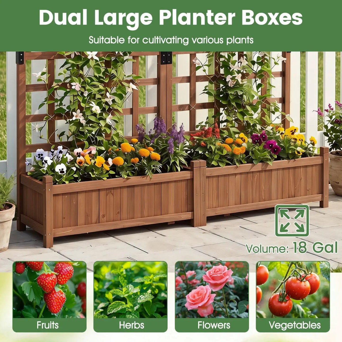 Dual Garden Bed With Trellis and Drainage Holes