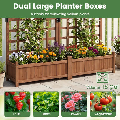 Dual Garden Bed With Trellis and Drainage Holes