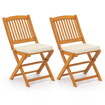 Outdoor Folding Chairs with Seat Cushions Set of 2 - Tampa Home & Garden Store