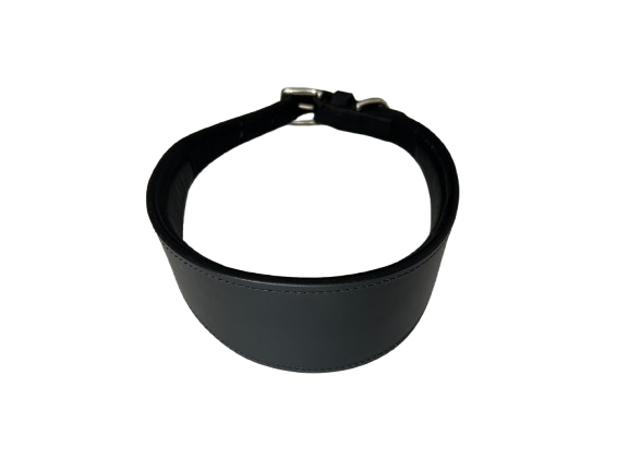 Oval Leather Dog Collar - Tan - Tampa Home & Garden Store
