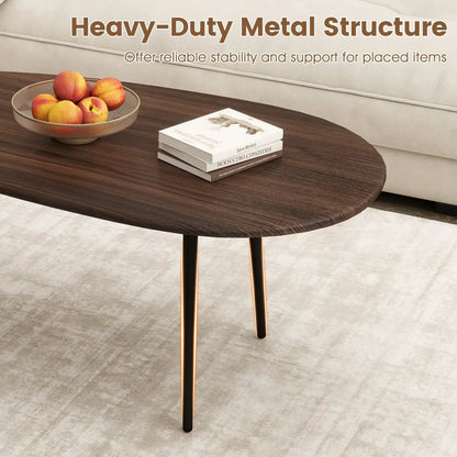 Oval Coffee Table Mid Century Center Table Metal