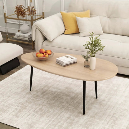 Oval Coffee Table Mid Century Center Table Metal