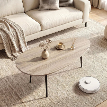 Oval Coffee Table Mid Century Center Table Metal