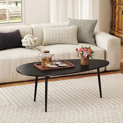Oval Coffee Table Mid Century Center Table Metal