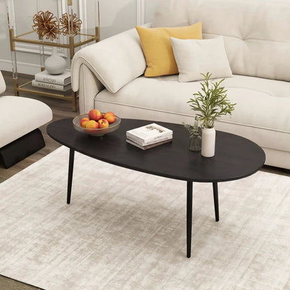 Oval Coffee Table Mid Century Center Table Metal