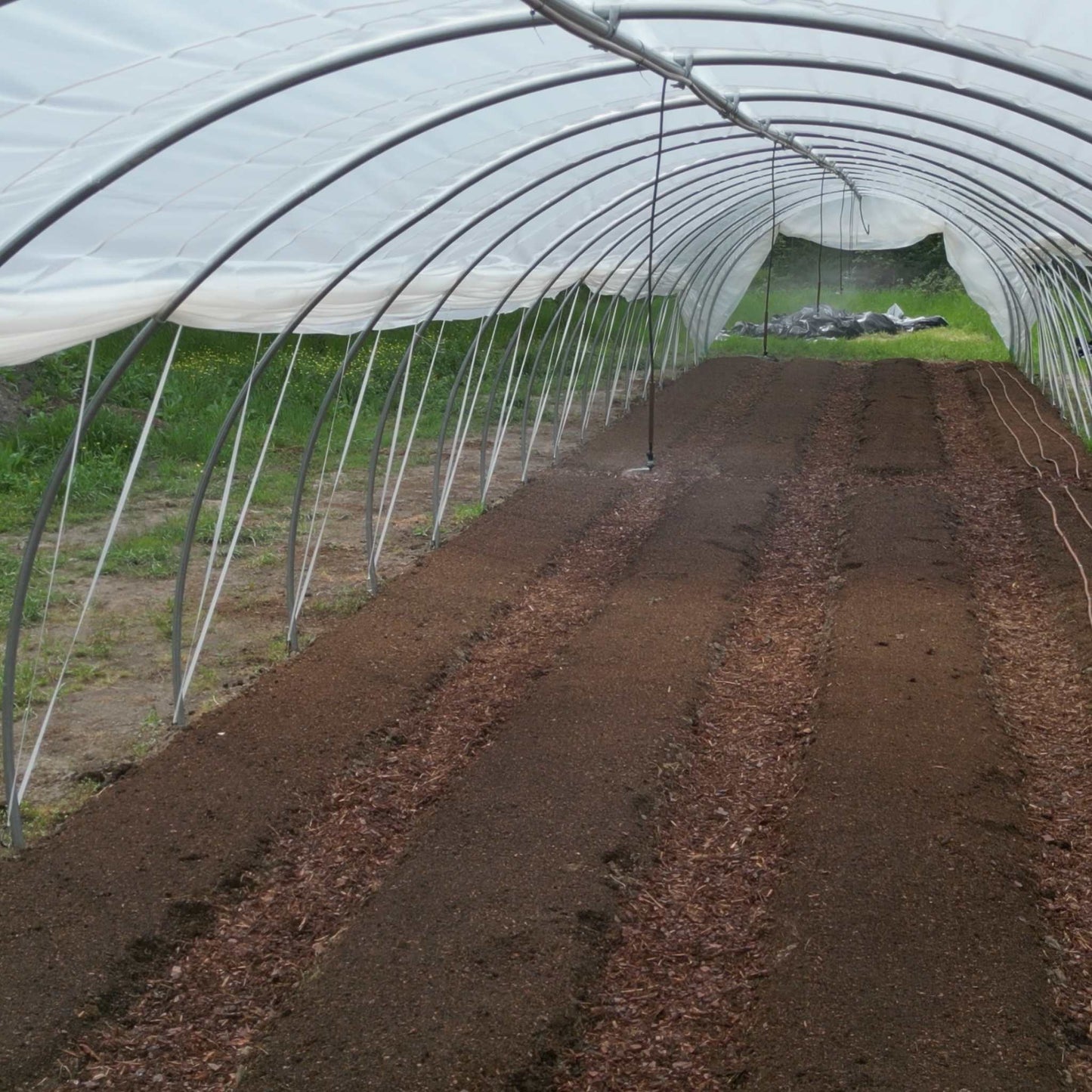 Overhead Irrigation Kit