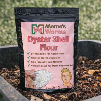 Oyster Shell Flour For Sale For Composting - Tampa Home & Garden Store