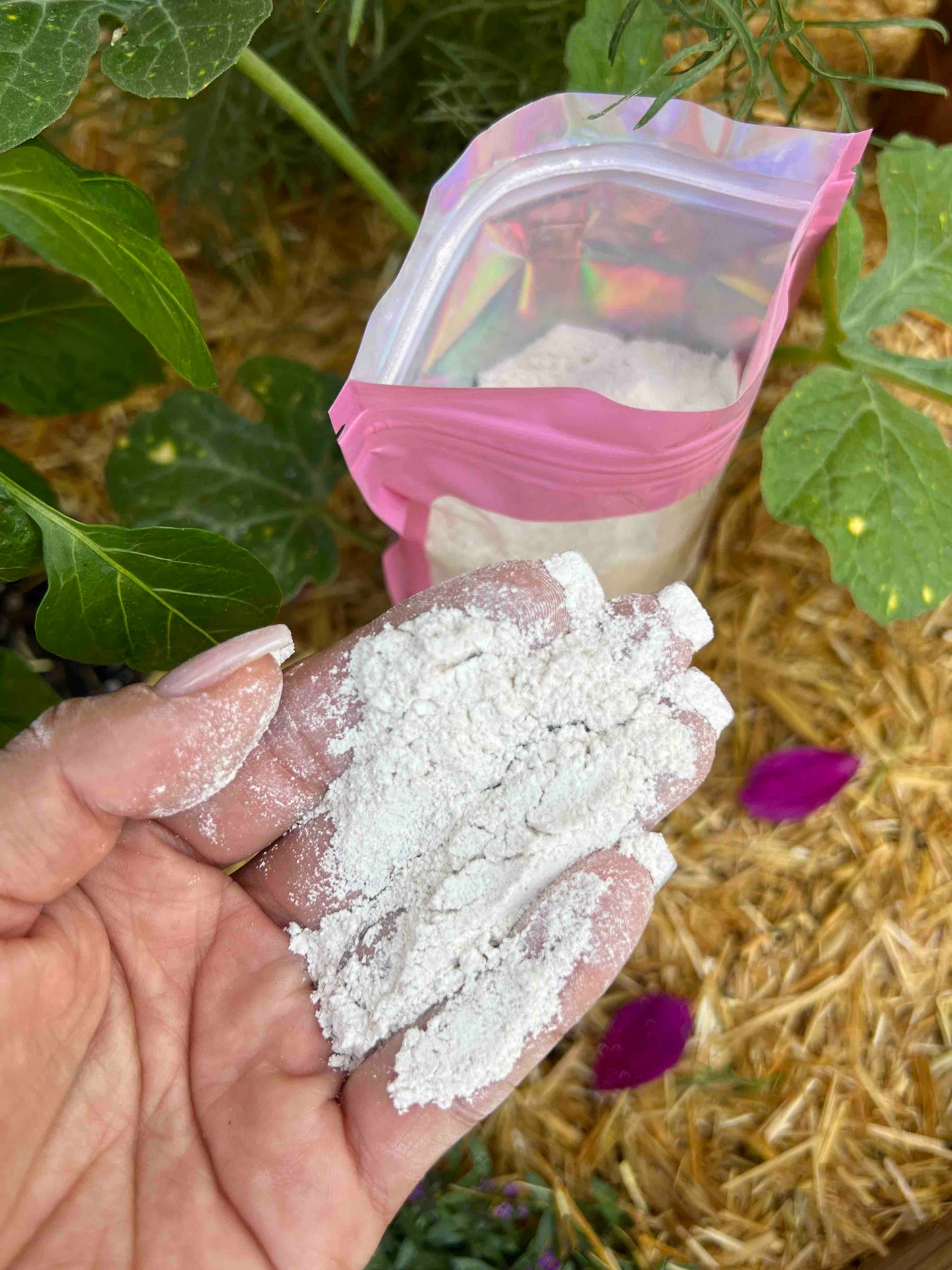 Oyster Shell Flour For Sale For Composting - Tampa Home & Garden Store