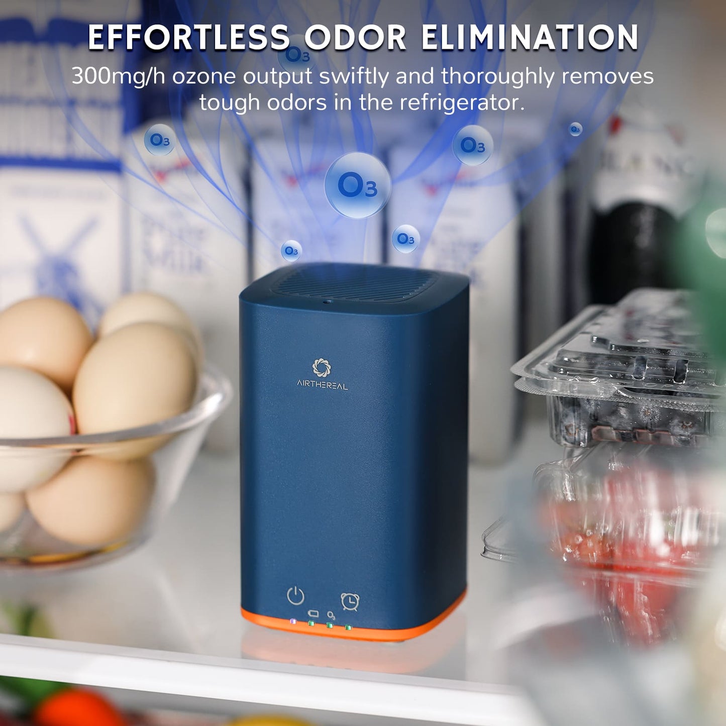 PA300-GO Portable Ozone Generator - Tampa Home & Garden Store