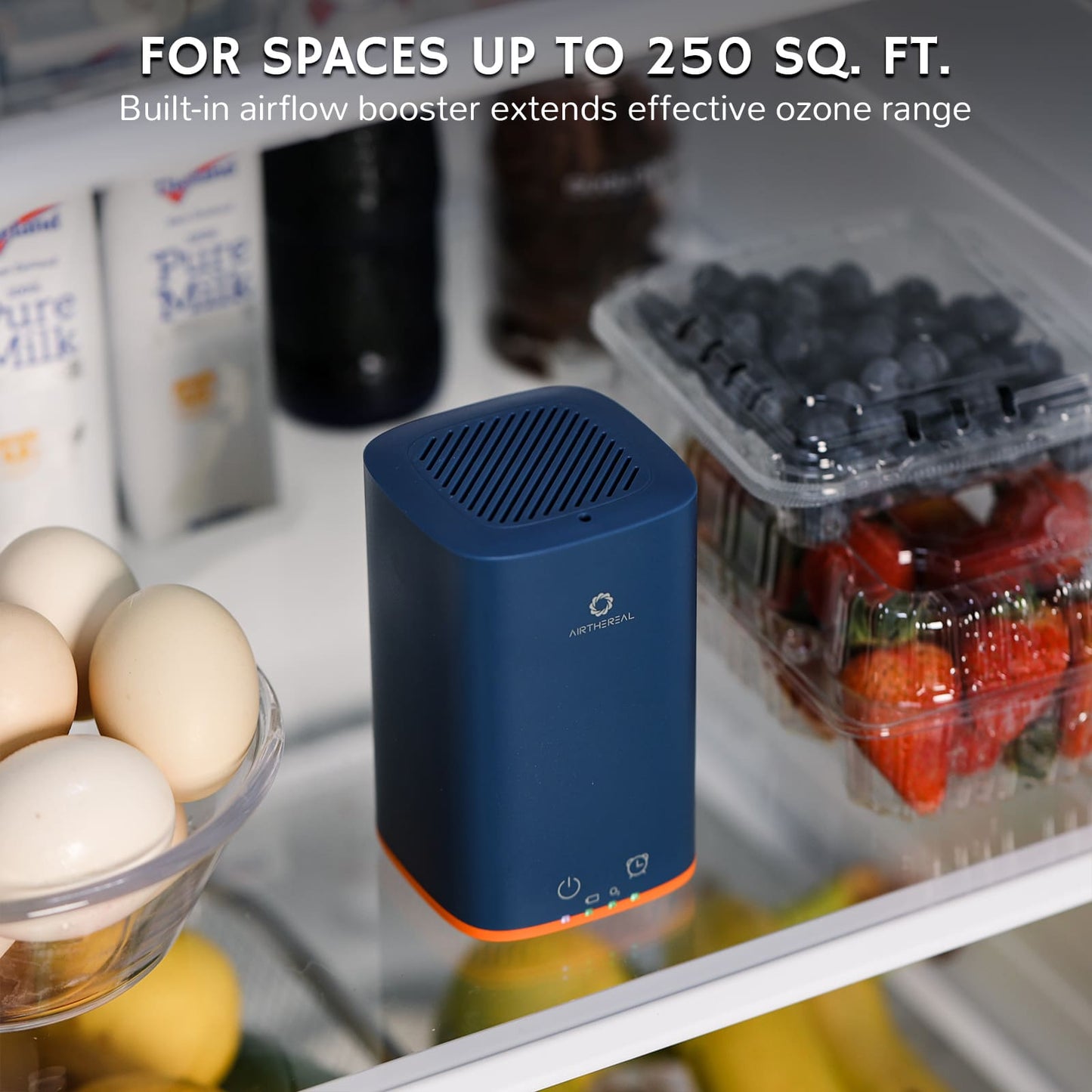 PA300-GO Portable Ozone Generator - Tampa Home & Garden Store