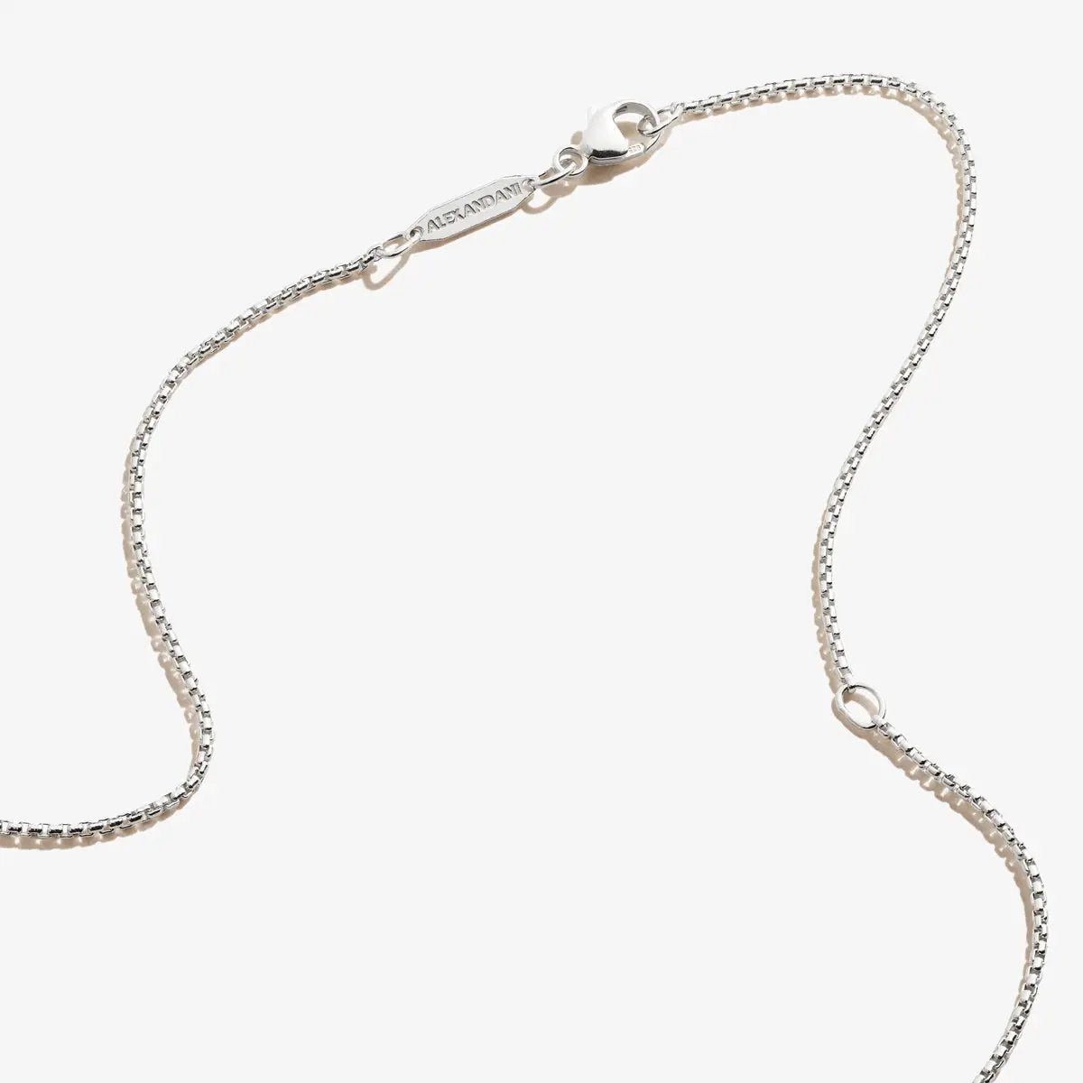 Heart Necklace silver-tone chain by ALEX AND ANI on Tampa Home & Garden Store