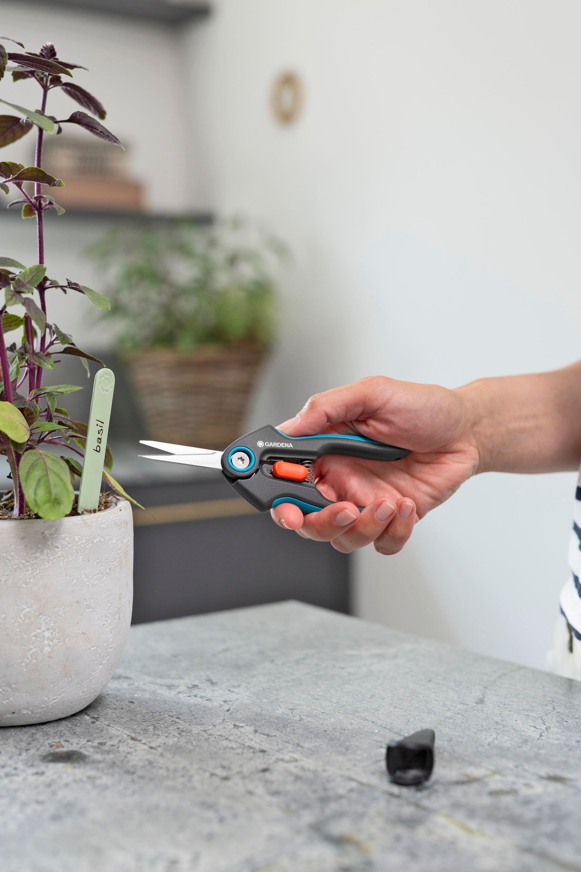 Gardena FreshCut Scissors hand pruner trimming basil in a pot, blue-gray handle on Tampa Home & Garden Store