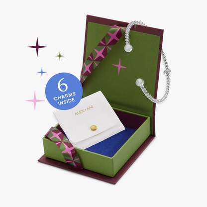 Signature Charm Set bracelets by ALEX AND ANI in a green gift box with a silver chain on Tampa Home & Garden Store