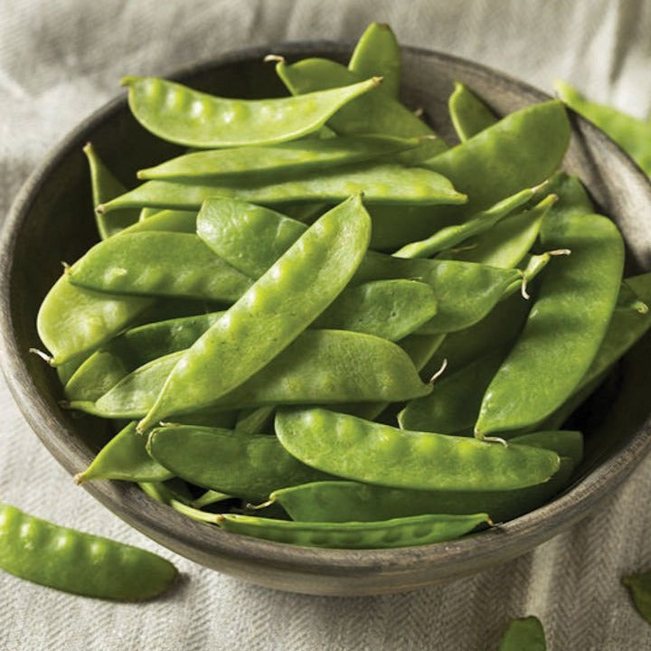 Mammoth Melting Snow Pea seeds in a bowl of vibrant green pea pods Seedtime Store seeds on Tampa Home & Garden Store