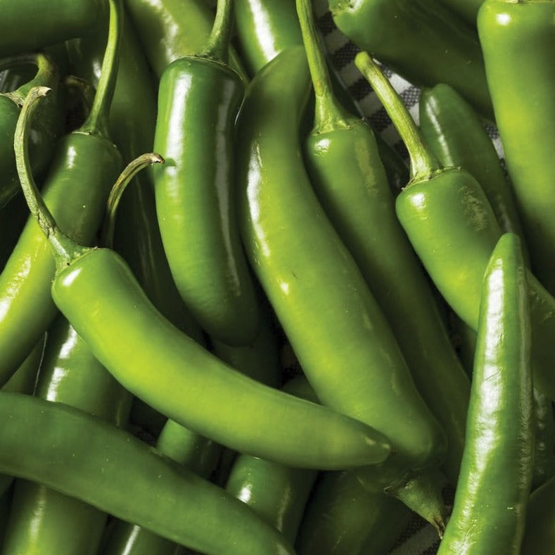 Serrano Tampiqueño pepper seeds fresh green peppers shown Seedtime Store on Tampa Home & Garden Store