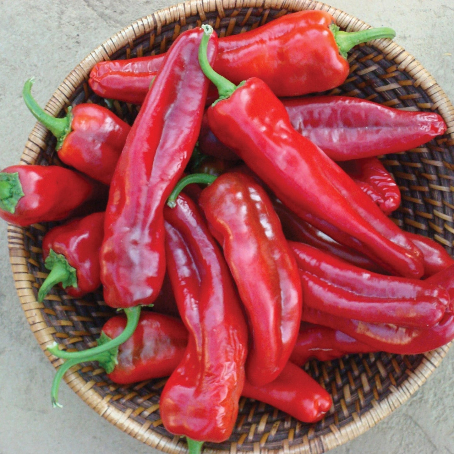 Giant Marconi peppers, several in a woven basket, bright red and glossy on Tampa Home & Garden Store
