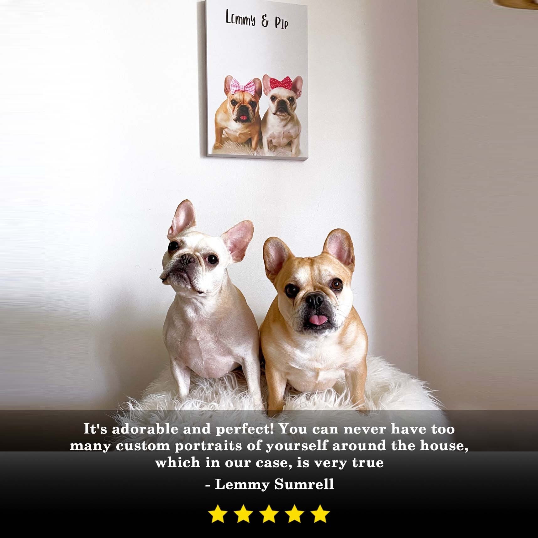 Pet canvas sign by Tailored Canvases featuring two dogs with pink bows on white canvas on Tampa Home & Garden Store