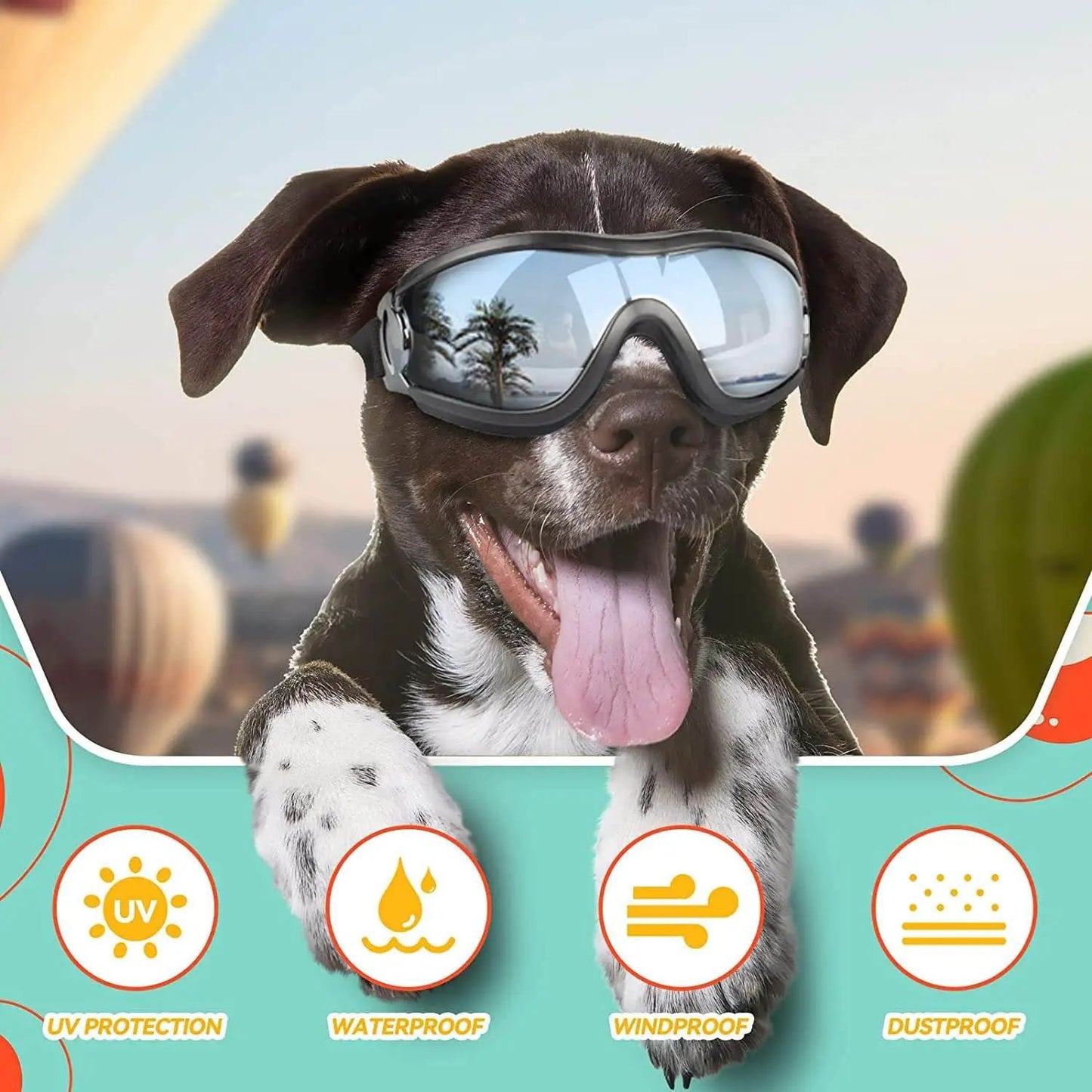 PETLESO Dog Goggles Large Breed, Large Dog Sunglasses Eye Protection for Dogs Windproof Goggles for Medium Large Dog Riding Biking Driving, Black - Tampa Home & Garden Store