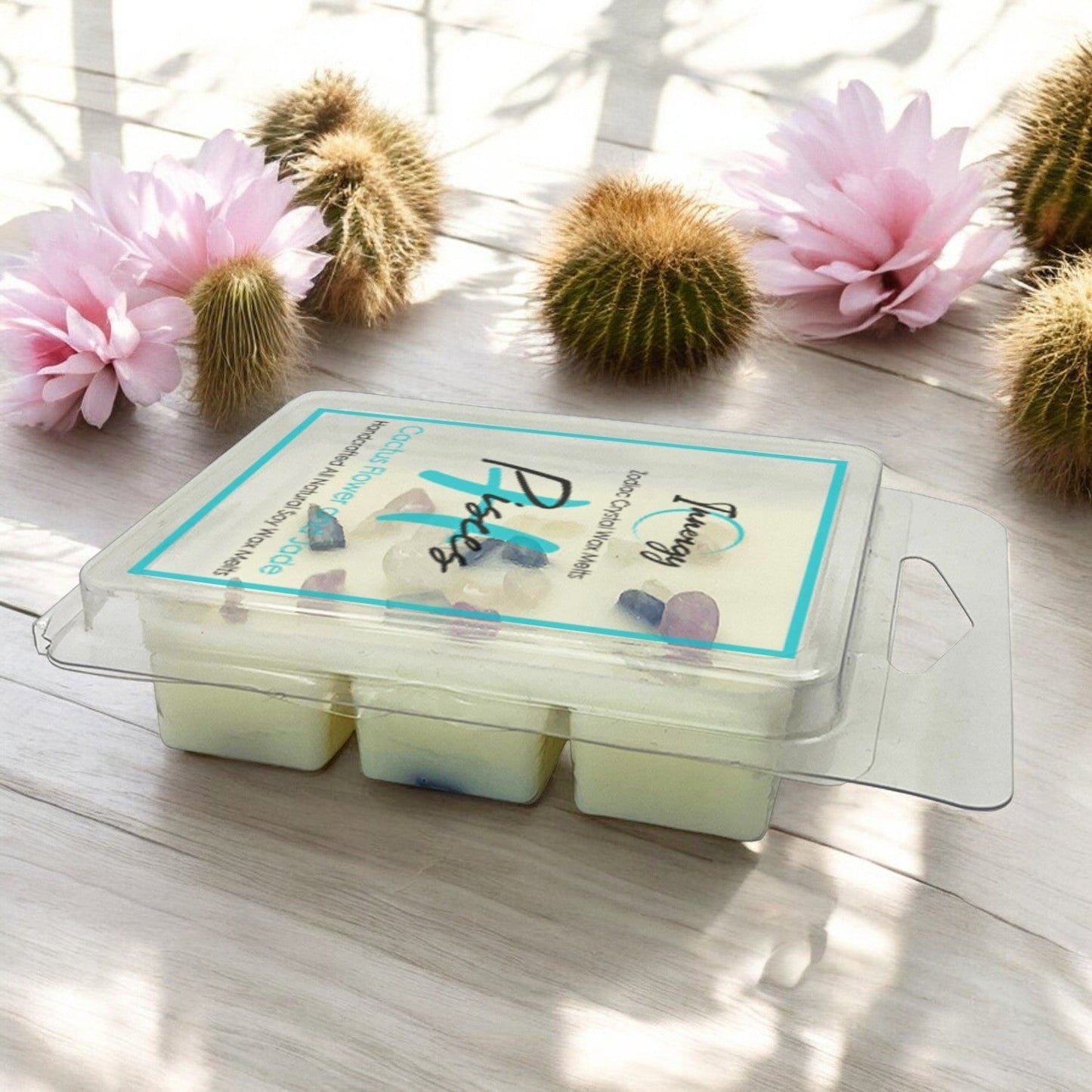 Cera de soja y coco premium mejorada con cristales del zodíaco Piscis