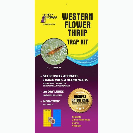 Pest Wizard Western Flower Thrips Trap Kit