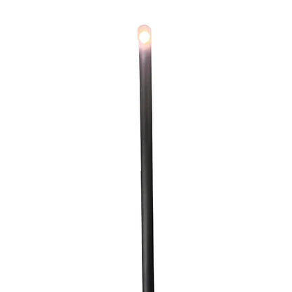 PLB21 Lampe de voie incurvée basse tension en laiton moulé 3 W LED style canne