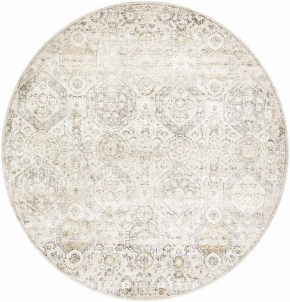 Parkerfield Moroccan Beige Gray Area Rug