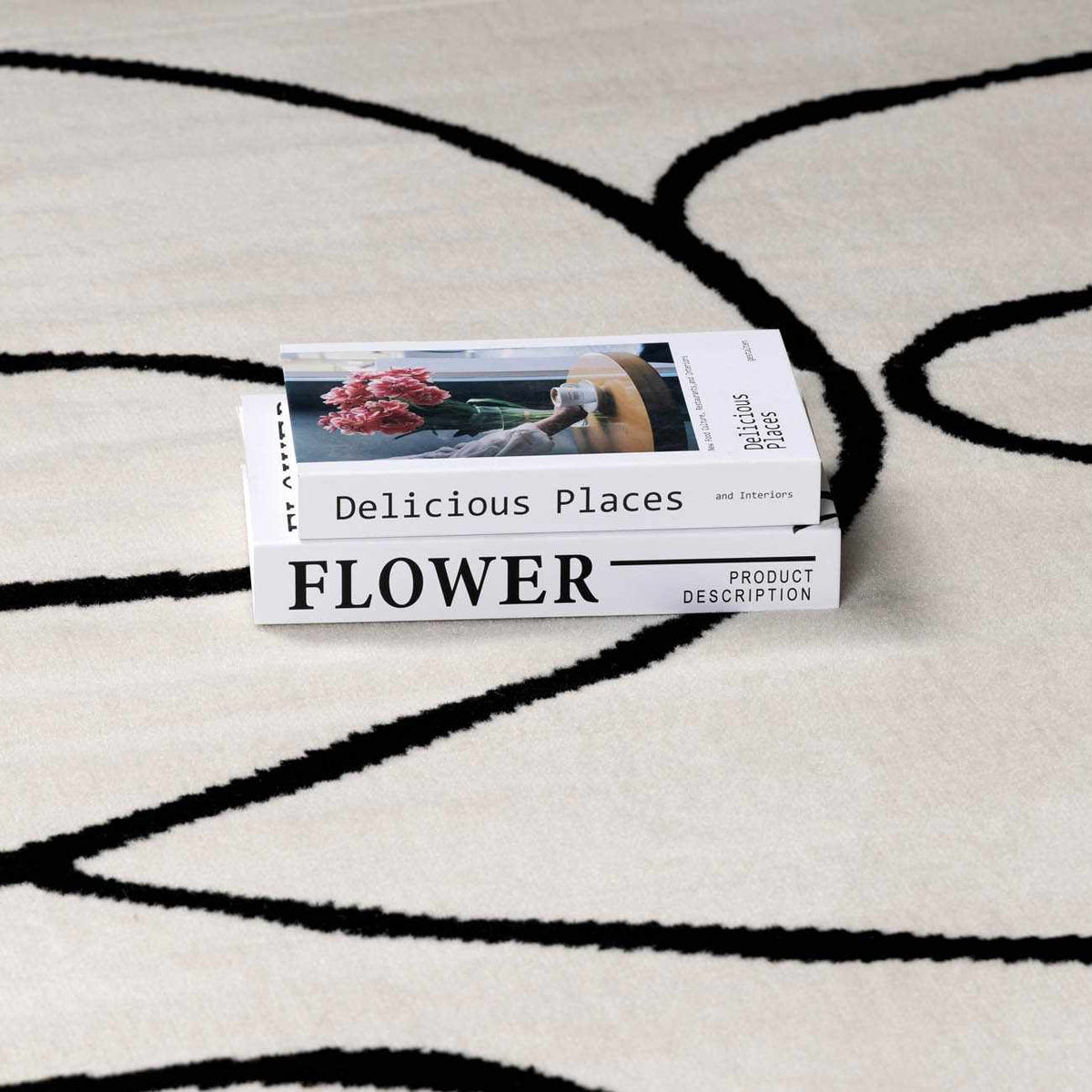 Eilir Modern Low Profile Boho Rug cream background with black curved lines on Tampa Home & Garden Store