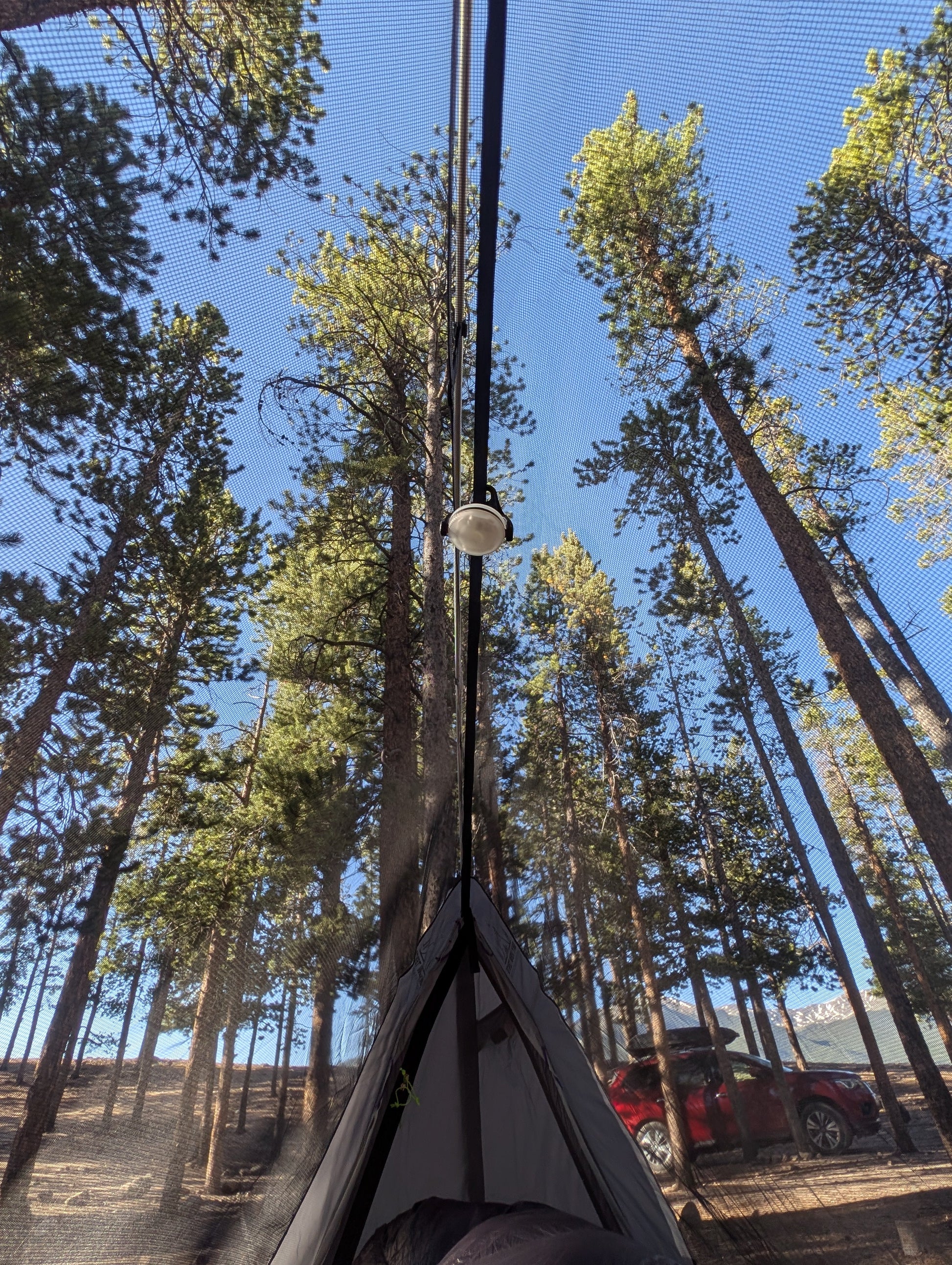 Sky View Solo Tent interior with gray fabric, mesh roof and central pole in a campsite on Tampa Home & Garden Store
