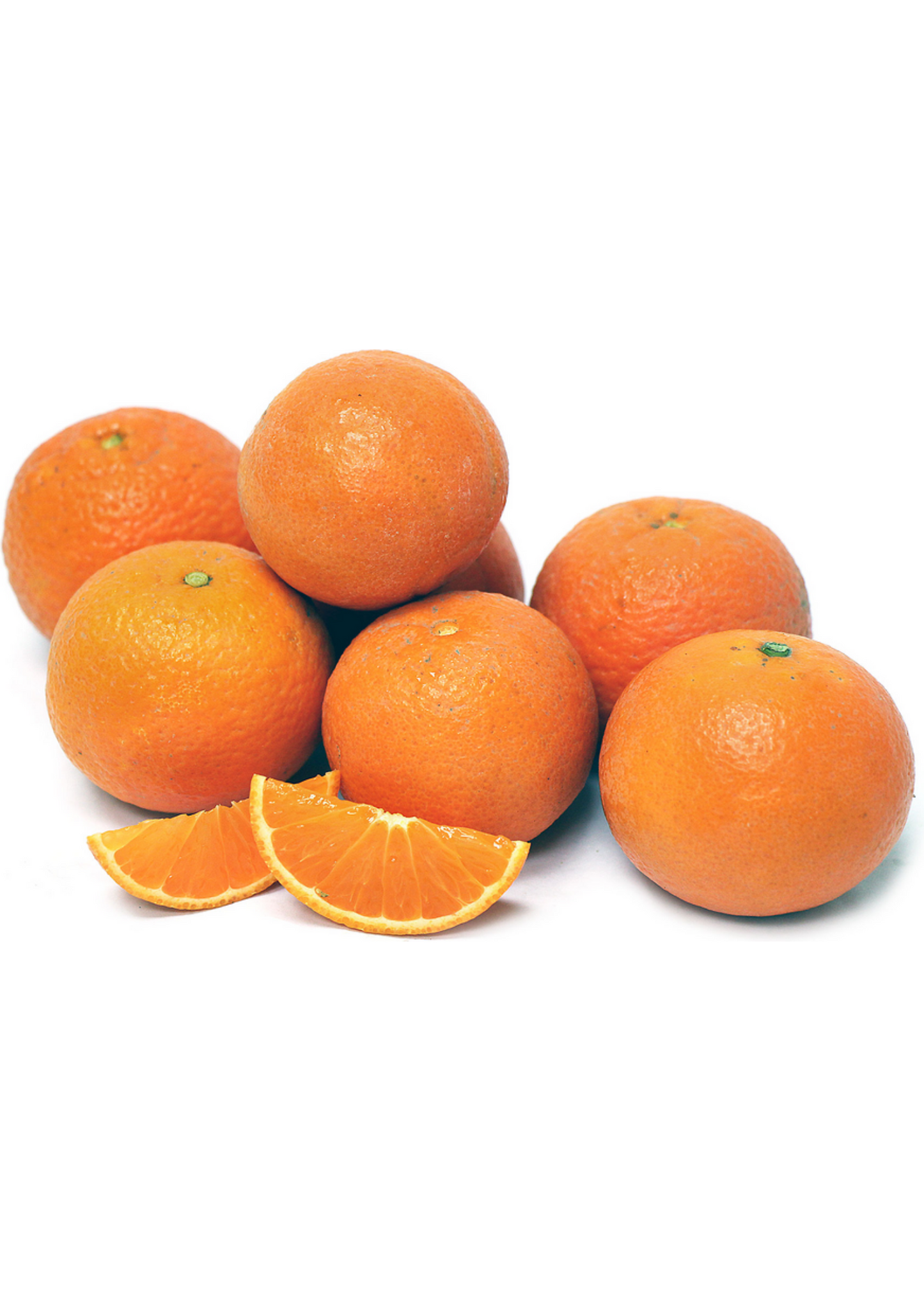 Page Mandarin Tree (Citrus Reticulata 'Page') - Tampa Home & Garden Store