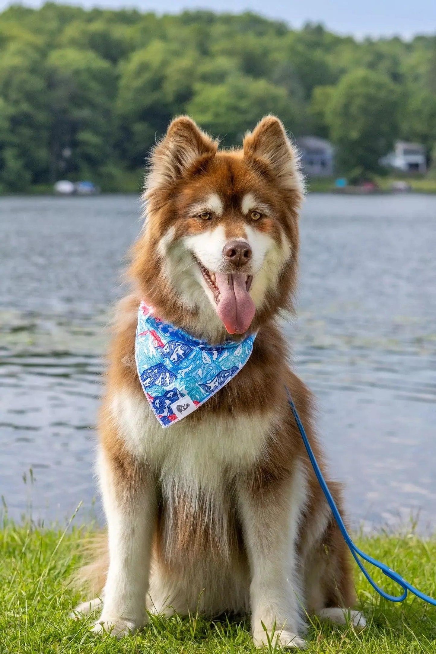Painted Peaks Dog Bandana - Tampa Home & Garden Store