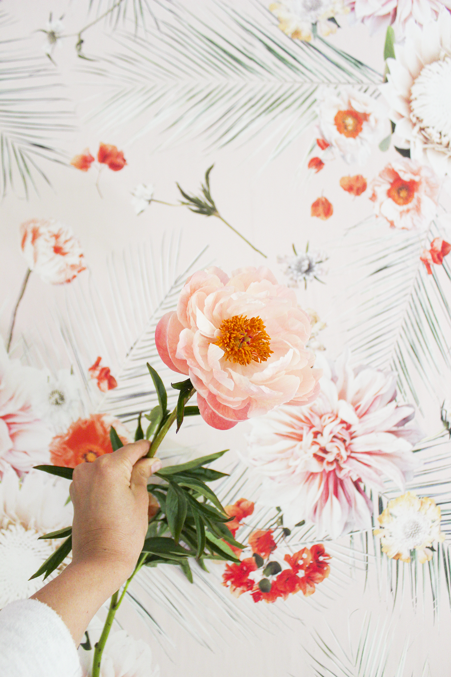 Palm Springs Wallpaper, peach - Tampa Home & Garden Store