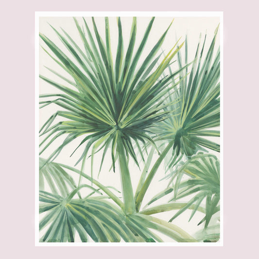 Palmettos - Tampa Home & Garden Store