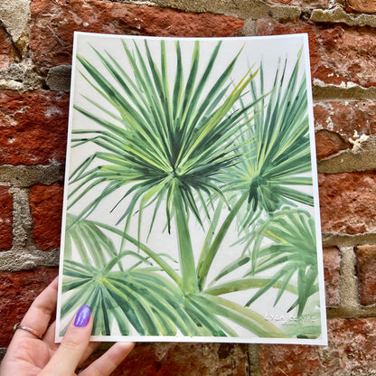 Palmettos - Tampa Home & Garden Store