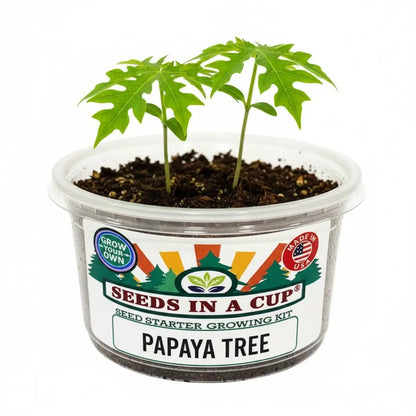 Papaya Grow Kit - Tampa Home & Garden Store