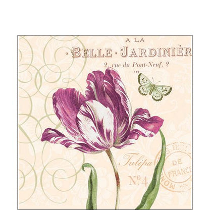 Paper Cocktail Napkin - Tulipa - Tampa Home & Garden Store