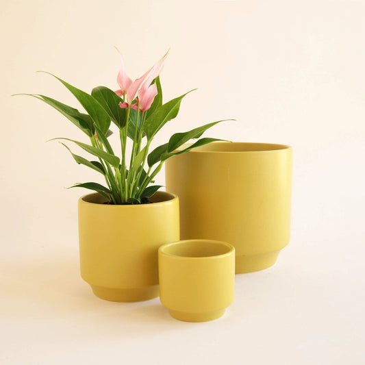 Parker Planter | Palm Speckle - Tampa Home & Garden Store