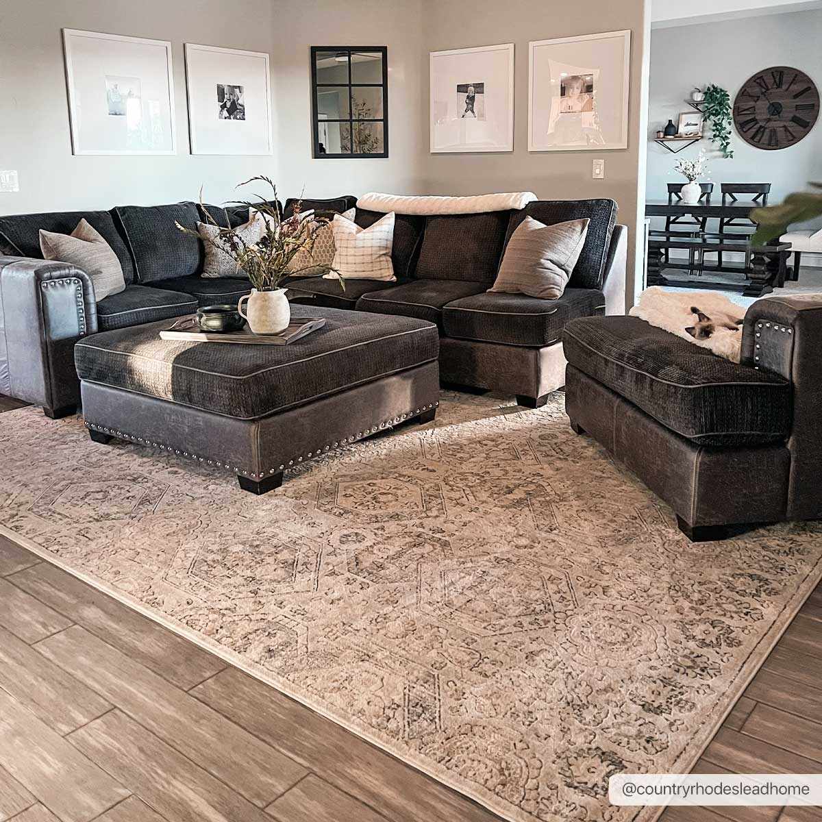Parkerfield Area Rug beige-gray medallion under dark sectional Boutique Rugs on Tampa Home & Garden Store