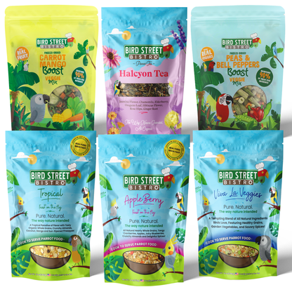 Parrot Food Super-Pack - Tampa Home & Garden Store