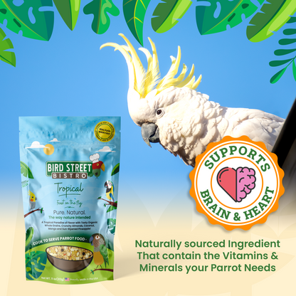 Parrot Food Super-Pack - Tampa Home & Garden Store