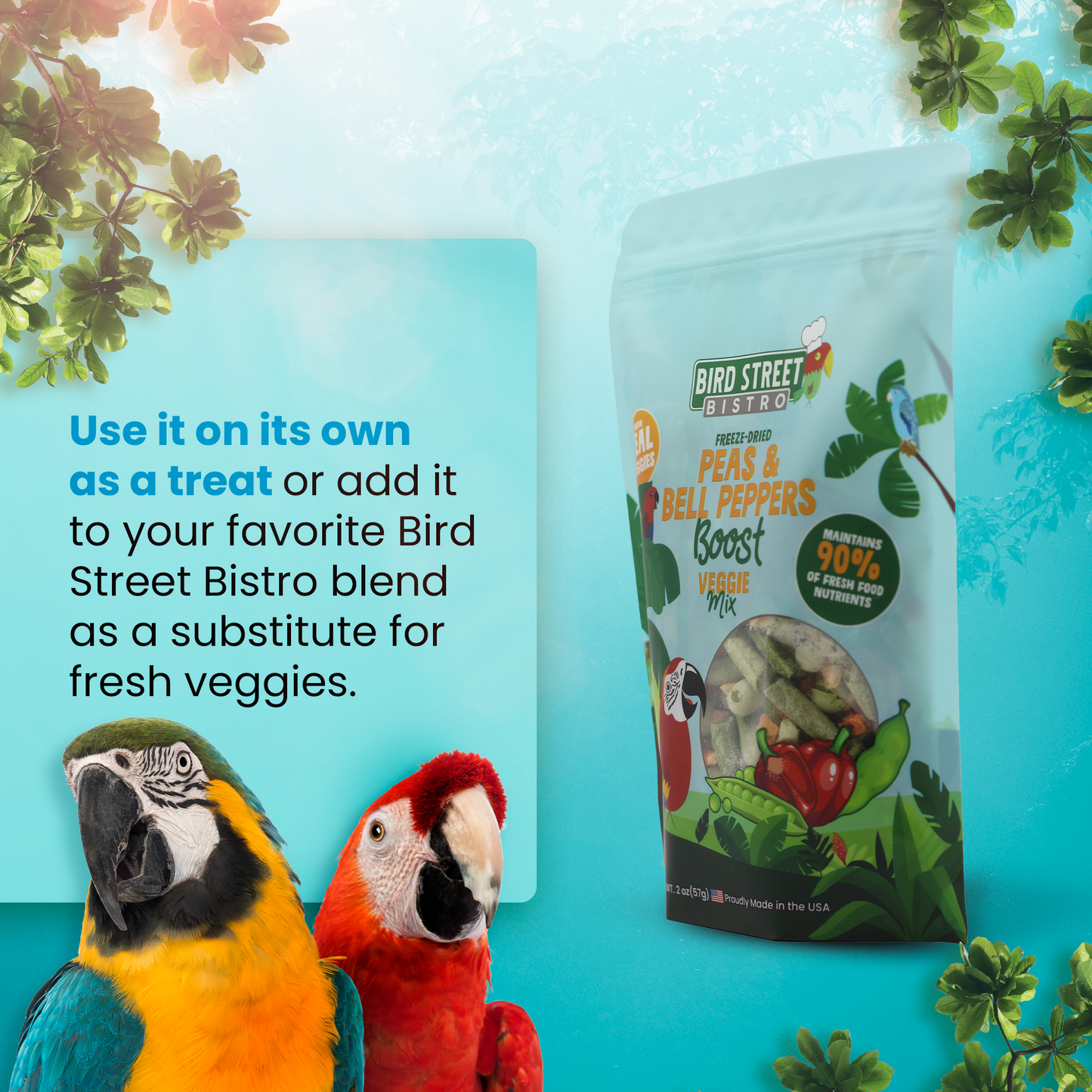 Parrot Food Super-Pack - Tampa Home & Garden Store